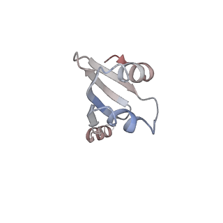 32520_7wi3_h_v1-2
Cryo-EM structure of E.Coli FtsH-HflkC AAA protease complex