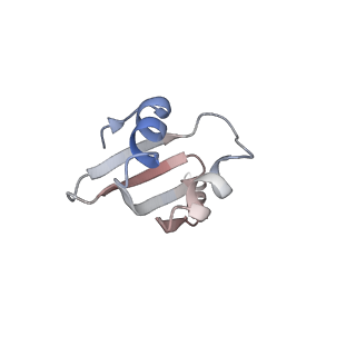 32520_7wi3_n_v1-2
Cryo-EM structure of E.Coli FtsH-HflkC AAA protease complex