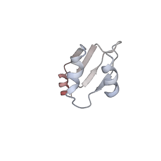 32520_7wi3_q_v1-2
Cryo-EM structure of E.Coli FtsH-HflkC AAA protease complex