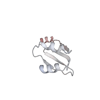 32520_7wi3_r_v1-2
Cryo-EM structure of E.Coli FtsH-HflkC AAA protease complex