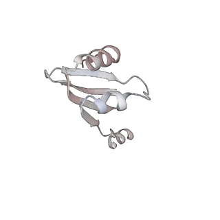 32520_7wi3_s_v1-2
Cryo-EM structure of E.Coli FtsH-HflkC AAA protease complex