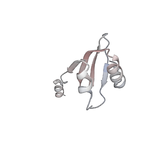 32520_7wi3_t_v1-2
Cryo-EM structure of E.Coli FtsH-HflkC AAA protease complex