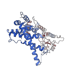 32521_7wi4_A_v1-2
Cryo-EM structure of E.Coli FtsH protease cytosolic domains