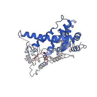 32521_7wi4_B_v1-2
Cryo-EM structure of E.Coli FtsH protease cytosolic domains