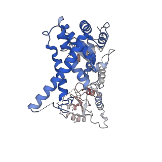 32521_7wi4_C_v1-2
Cryo-EM structure of E.Coli FtsH protease cytosolic domains
