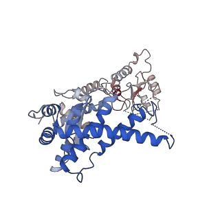 32521_7wi4_D_v1-2
Cryo-EM structure of E.Coli FtsH protease cytosolic domains