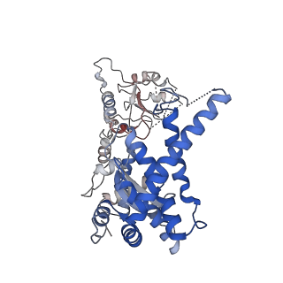 32521_7wi4_E_v1-2
Cryo-EM structure of E.Coli FtsH protease cytosolic domains