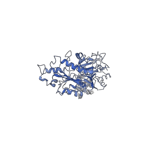 32526_7wi6_A_v1-1
Cryo-EM structure of LY341495/NAM-bound mGlu3