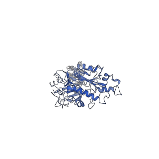32526_7wi6_B_v1-1
Cryo-EM structure of LY341495/NAM-bound mGlu3