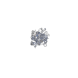 32527_7wi8_A_v1-1
Cryo-EM structure of inactive mGlu3 bound to LY341495
