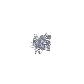 32527_7wi8_B_v1-1
Cryo-EM structure of inactive mGlu3 bound to LY341495