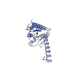 32528_7wic_A_v1-1
Cryo-EM structure of the SS-14-bound human SSTR2-Gi1 complex