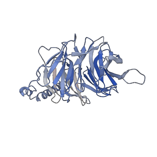 32528_7wic_B_v1-1
Cryo-EM structure of the SS-14-bound human SSTR2-Gi1 complex