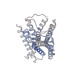 32528_7wic_R_v1-1
Cryo-EM structure of the SS-14-bound human SSTR2-Gi1 complex