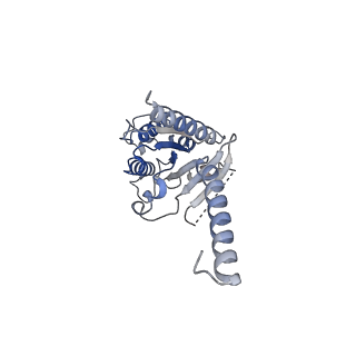32529_7wig_A_v1-1
Cryo-EM structure of the L-054,264-bound human SSTR2-Gi1 complex