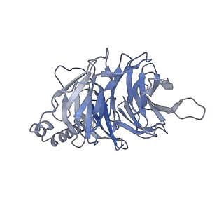 32529_7wig_B_v1-1
Cryo-EM structure of the L-054,264-bound human SSTR2-Gi1 complex