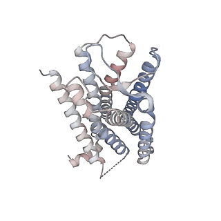 32529_7wig_R_v1-1
Cryo-EM structure of the L-054,264-bound human SSTR2-Gi1 complex