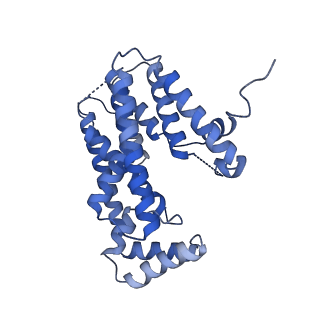 32531_7wij_A_v1-0
Cryo-EM structure of prenyltransferase domain of Macrophoma phaseolina macrophomene synthase