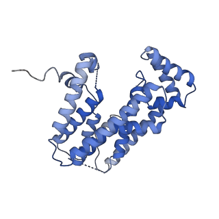 32531_7wij_B_v1-0
Cryo-EM structure of prenyltransferase domain of Macrophoma phaseolina macrophomene synthase