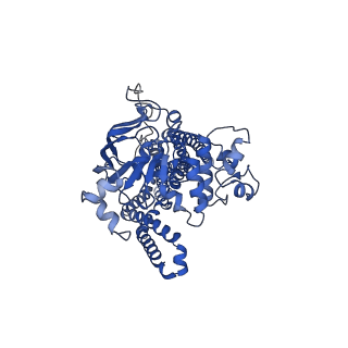 32539_7wix_A_v1-0
Cryo-EM structure of Mycobacterium tuberculosis irtAB in complex with ADP