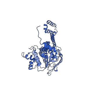 32539_7wix_B_v1-0
Cryo-EM structure of Mycobacterium tuberculosis irtAB in complex with ADP