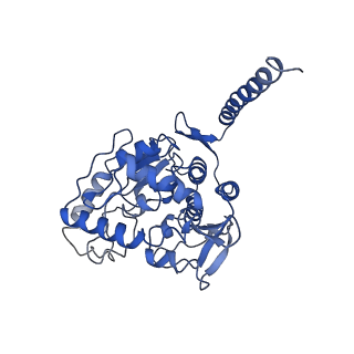 32540_7wiy_A_v1-0
Cryo-EM structure of human TPH2 tetramer