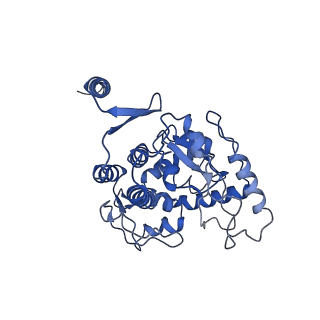 32540_7wiy_B_v1-0
Cryo-EM structure of human TPH2 tetramer
