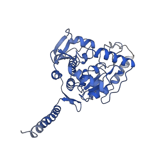 32540_7wiy_C_v1-0
Cryo-EM structure of human TPH2 tetramer