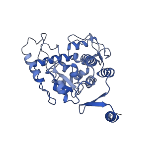32540_7wiy_D_v1-0
Cryo-EM structure of human TPH2 tetramer