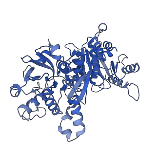 32541_7wiz_A_v1-0
Structural basis for ligand binding modes of CTP synthase