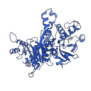 32541_7wiz_B_v1-0
Structural basis for ligand binding modes of CTP synthase