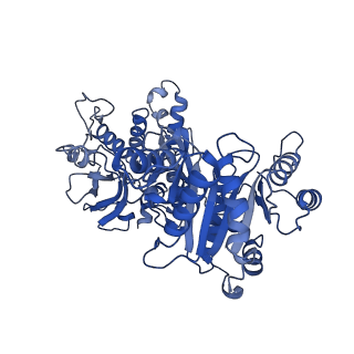 32541_7wiz_C_v1-0
Structural basis for ligand binding modes of CTP synthase