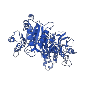 32541_7wiz_D_v1-0
Structural basis for ligand binding modes of CTP synthase