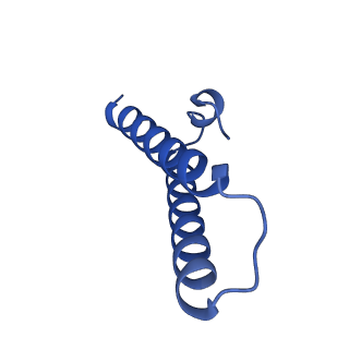 37559_8wi7_2_v1-0
Cryo- EM structure of Mycobacterium smegmatis 70S ribosome, bS1 and RafH.