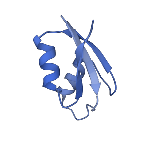 37559_8wi7_3_v1-0
Cryo- EM structure of Mycobacterium smegmatis 70S ribosome, bS1 and RafH.