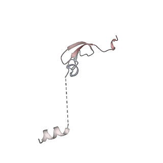 37559_8wi7_4_v1-0
Cryo- EM structure of Mycobacterium smegmatis 70S ribosome, bS1 and RafH.