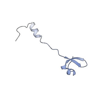 37559_8wi7_5_v1-0
Cryo- EM structure of Mycobacterium smegmatis 70S ribosome, bS1 and RafH.