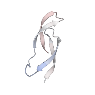 37559_8wi7_6_v1-0
Cryo- EM structure of Mycobacterium smegmatis 70S ribosome, bS1 and RafH.