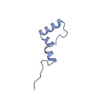 37559_8wi7_7_v1-0
Cryo- EM structure of Mycobacterium smegmatis 70S ribosome, bS1 and RafH.