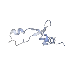 37559_8wi7_8_v1-0
Cryo- EM structure of Mycobacterium smegmatis 70S ribosome, bS1 and RafH.