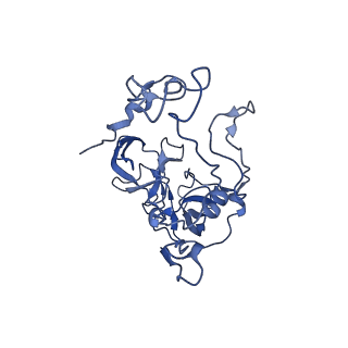 37559_8wi7_E_v1-0
Cryo- EM structure of Mycobacterium smegmatis 70S ribosome, bS1 and RafH.