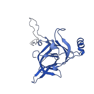 37559_8wi7_F_v1-0
Cryo- EM structure of Mycobacterium smegmatis 70S ribosome, bS1 and RafH.