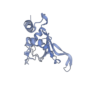 37559_8wi7_H_v1-0
Cryo- EM structure of Mycobacterium smegmatis 70S ribosome, bS1 and RafH.