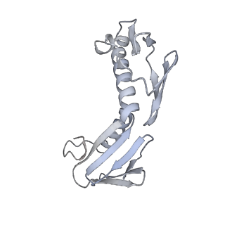 37559_8wi7_I_v1-0
Cryo- EM structure of Mycobacterium smegmatis 70S ribosome, bS1 and RafH.