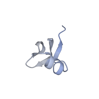 37559_8wi7_J_v1-0
Cryo- EM structure of Mycobacterium smegmatis 70S ribosome, bS1 and RafH.