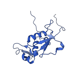 37559_8wi7_M_v1-0
Cryo- EM structure of Mycobacterium smegmatis 70S ribosome, bS1 and RafH.