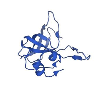 37559_8wi7_N_v1-0
Cryo- EM structure of Mycobacterium smegmatis 70S ribosome, bS1 and RafH.