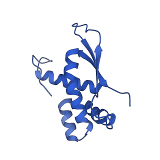 37559_8wi7_Q_v1-0
Cryo- EM structure of Mycobacterium smegmatis 70S ribosome, bS1 and RafH.