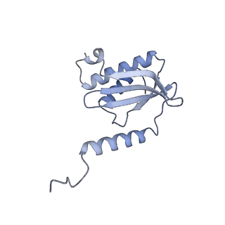 37559_8wi7_R_v1-0
Cryo- EM structure of Mycobacterium smegmatis 70S ribosome, bS1 and RafH.