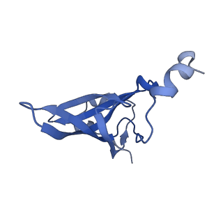 37559_8wi7_S_v1-0
Cryo- EM structure of Mycobacterium smegmatis 70S ribosome, bS1 and RafH.